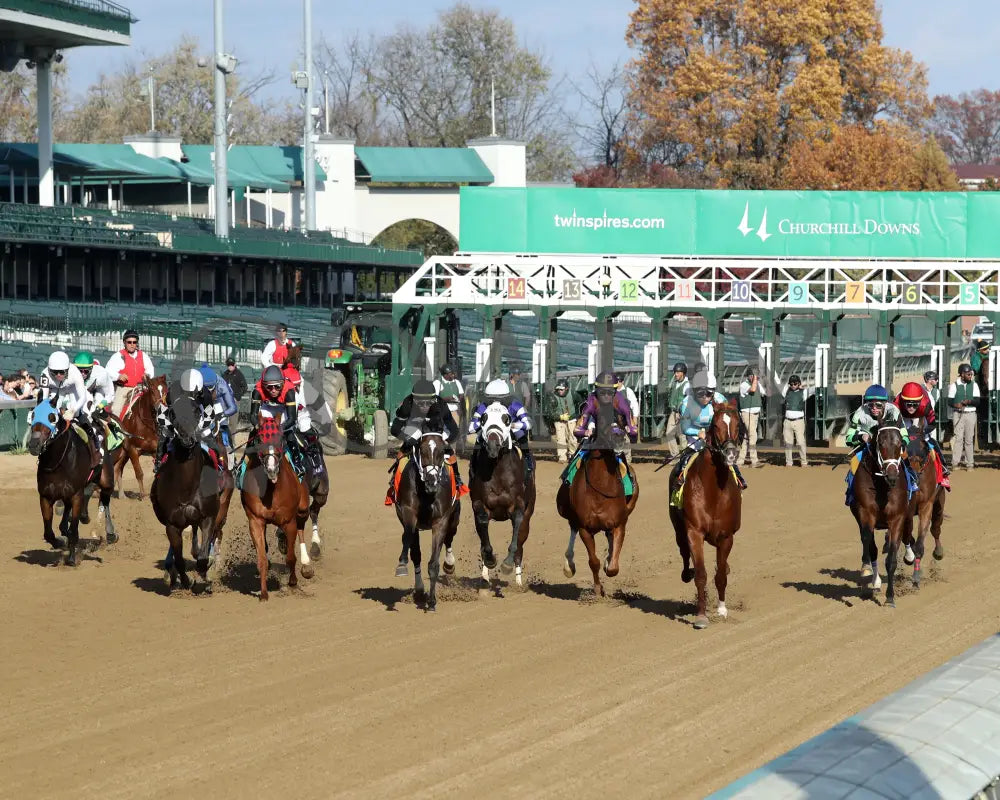 CURLIN'S MALIBU - The Iron Horse - 11-15-25 - R06 - CD - Start 03 - Coady Media - Kurtis Coady Photography