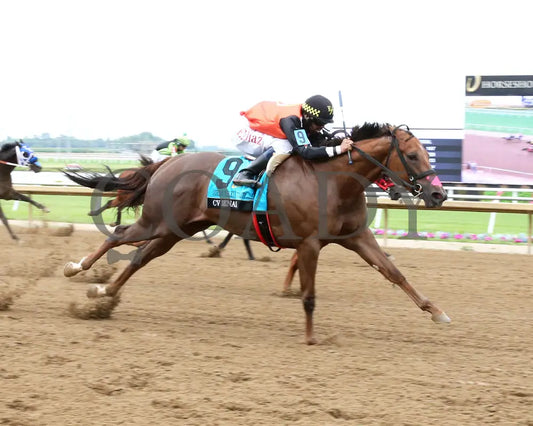 CV DENALI - Gordon Mobley Futurity Final - 16th Running - 07-19-25 - R07 - Horseshoe Indiana - Finish 01 - Sammantha