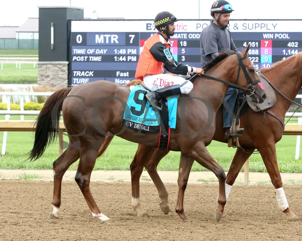 CV DENALI - Gordon Mobley Futurity Final - 16th Running - 07-19-25 - R07 - Horseshoe Indiana - Post Parade 01