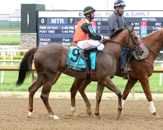 CV DENALI - Gordon Mobley Futurity Final - 16th Running - 07-19-25 - R07 - Horseshoe Indiana - Post Parade 01