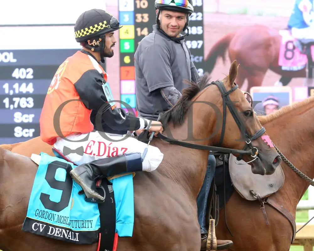 CV DENALI - Gordon Mobley Futurity Final - 16th Running - 07-19-25 - R07 - Horseshoe Indiana - Post Parade 02