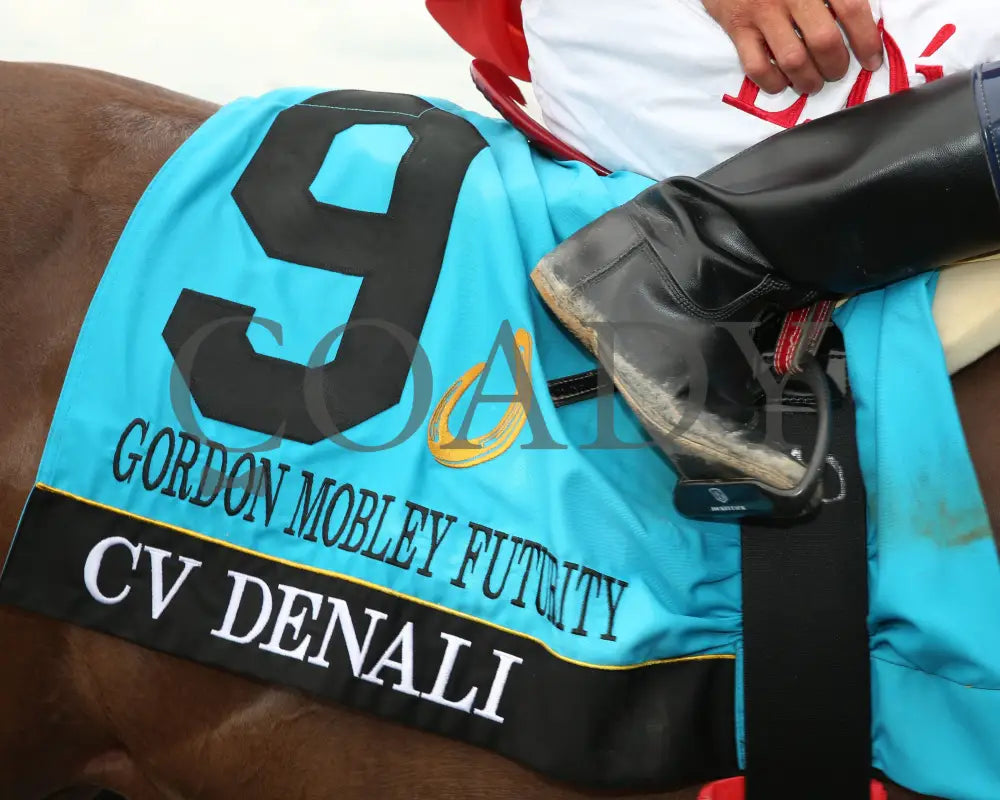 CV DENALI - Gordon Mobley Futurity Final - 16th Running - 07-19-25 - R07 - Horseshoe Indiana - Saddle Towel 01