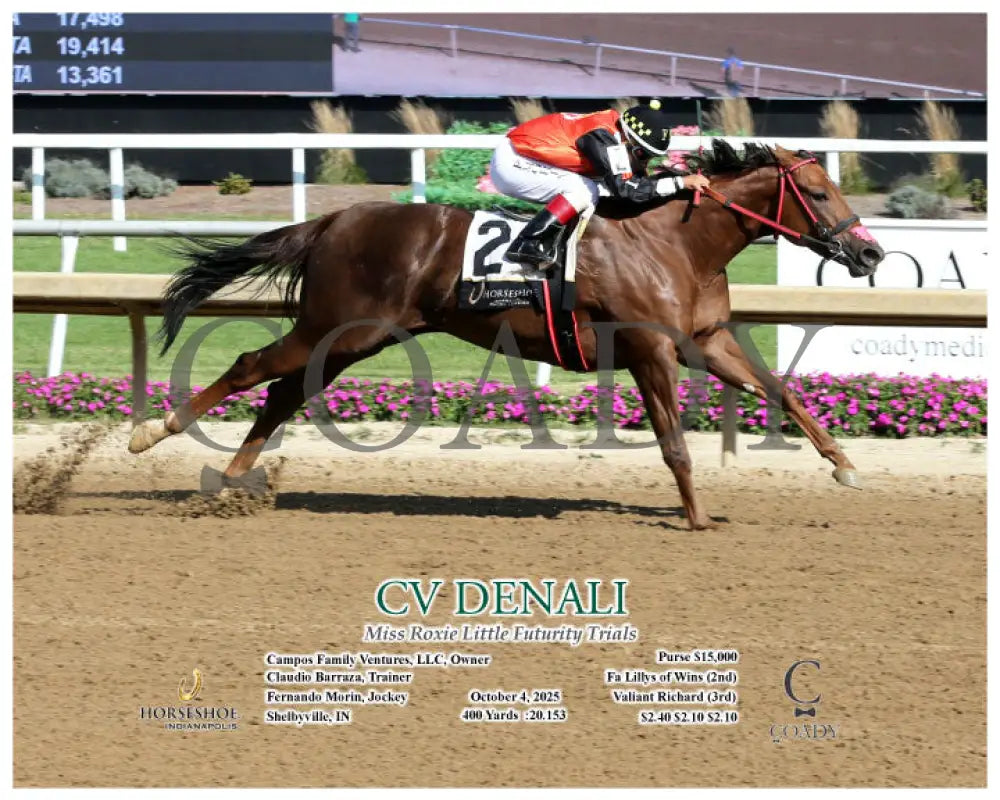 CV DENALI - Miss Roxie Little Futurity Trials - 10-04-25 - R11 - IND - Action Indiana Grand