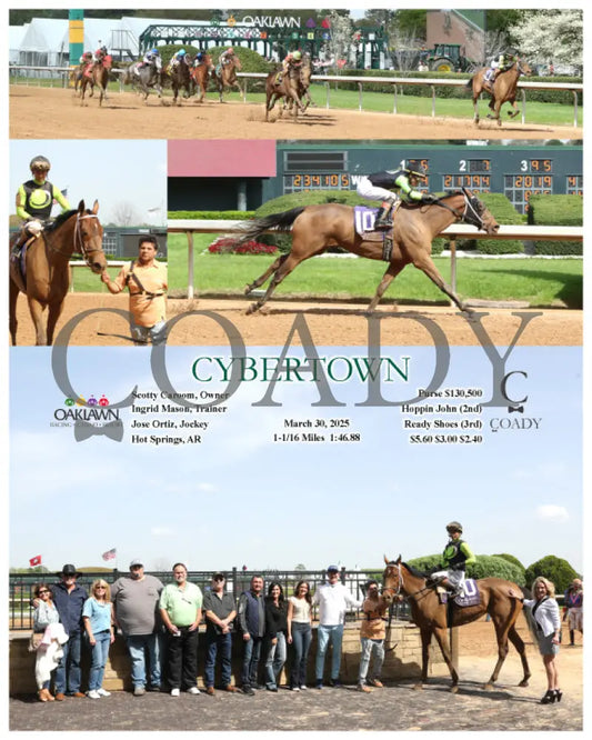 CYBERTOWN - 03-30-25 - R06 - OP Oaklawn Park