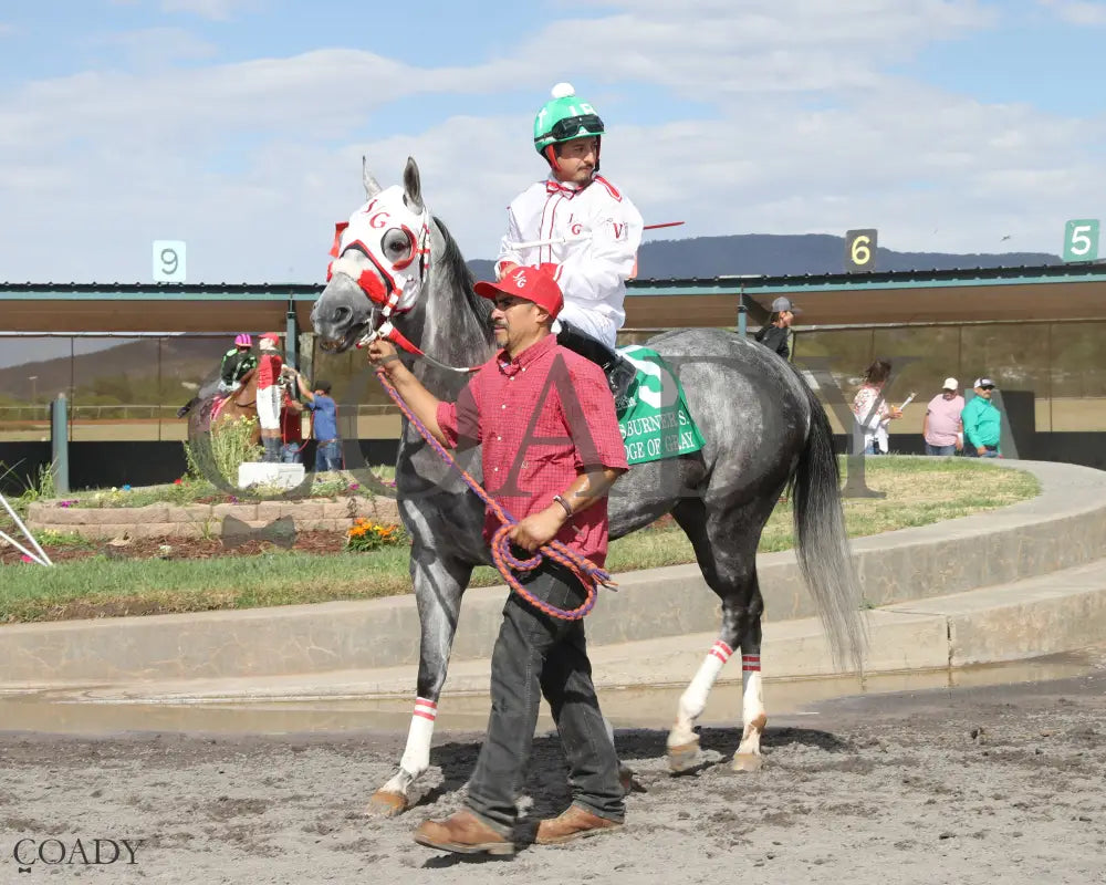 DA EDGE OF GRAY - Jess Burner Stakes - 06-01-25 - R10 - Ruidoso Downs - Finish 2 - Mark Flanders Ruidoso Downs