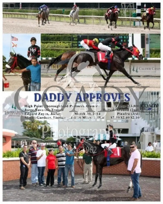 Daddy Approves - 033014 Race 07 Crc Calder Course