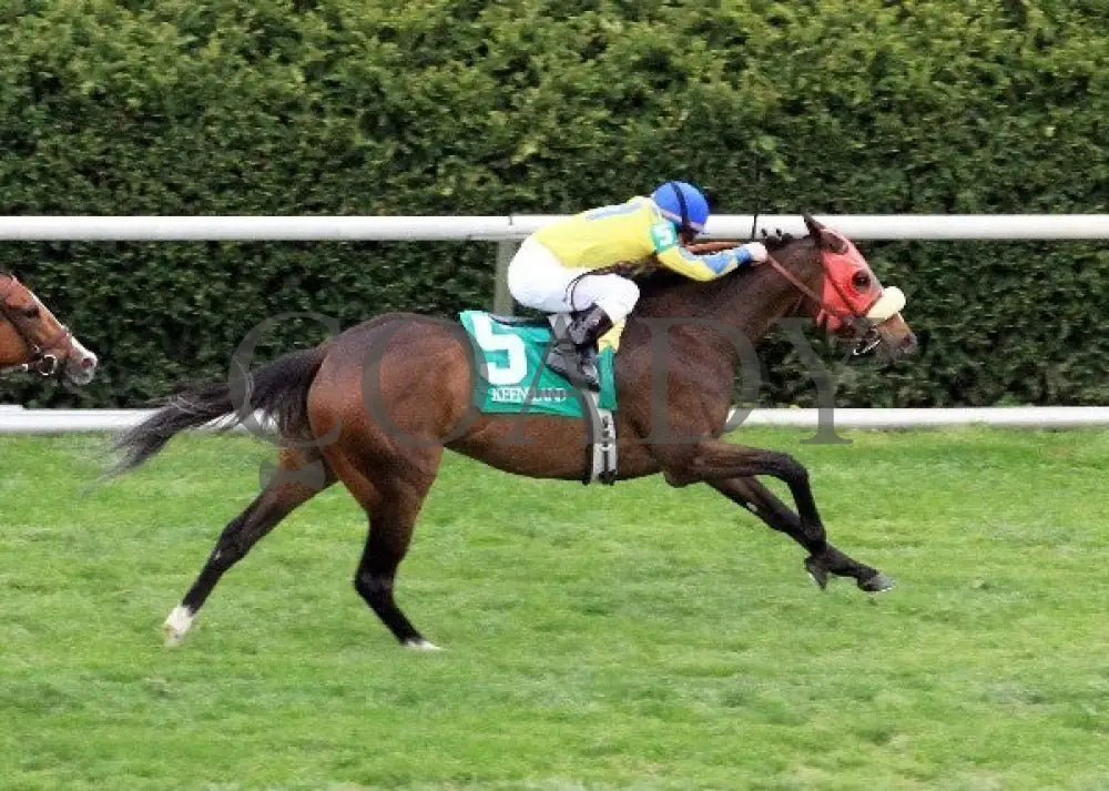 Daisy Devine - 041412 Race 08 Aerial Keeneland
