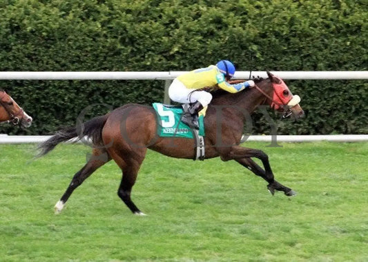 Daisy Devine - 041412 Race 08 Aerial Keeneland