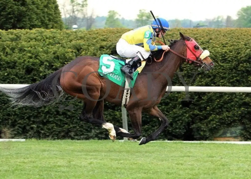 Daisy Devine - 041412 Race 08 Fin Keeneland