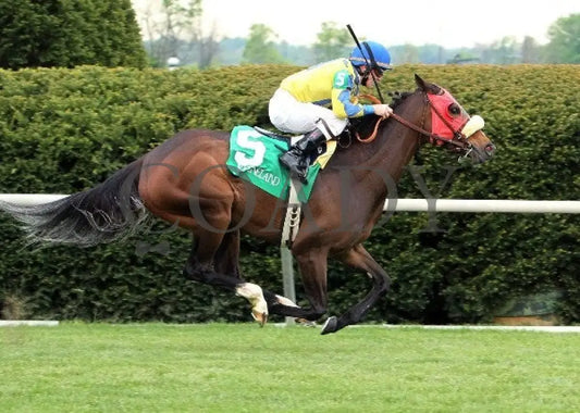 Daisy Devine - 041412 Race 08 Fin Keeneland