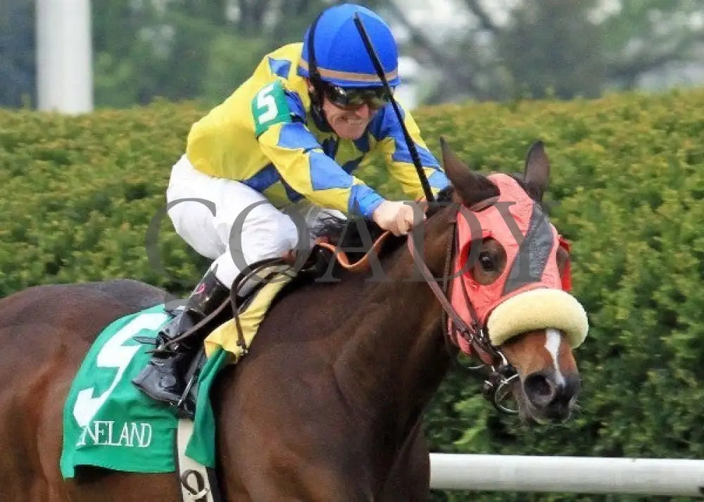 Daisy Devine - 041412 Race 08 Tight Fin Keeneland