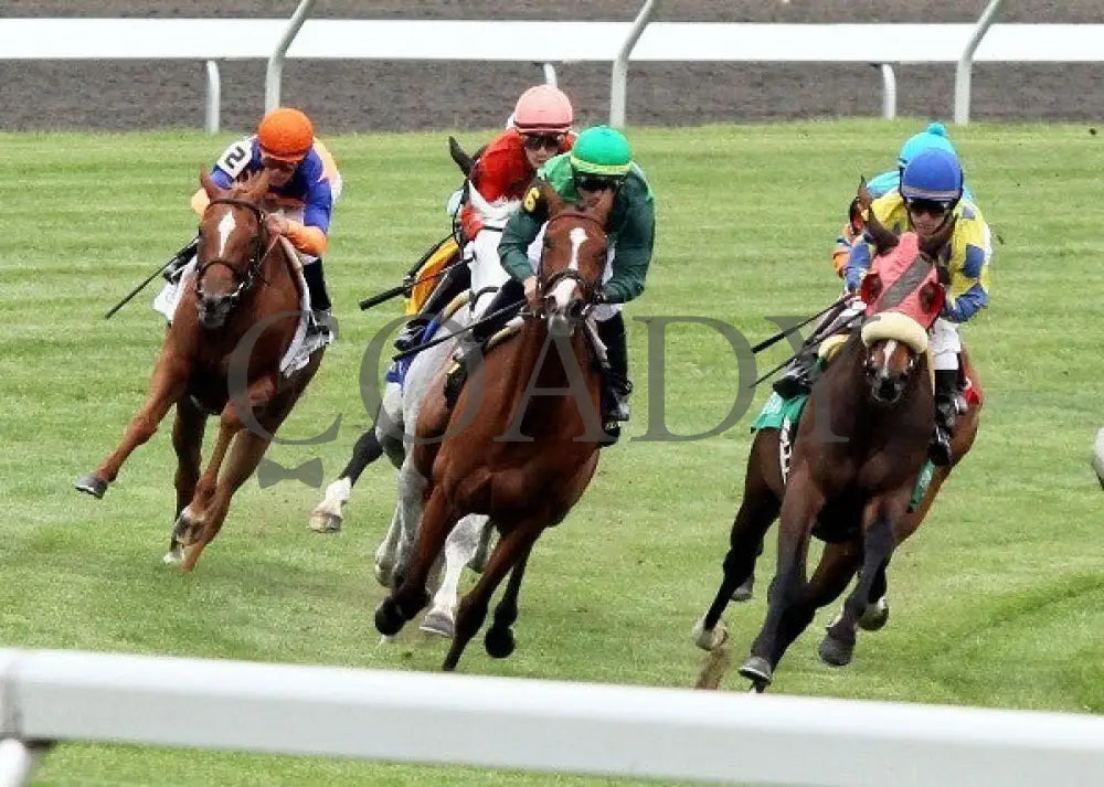 Daisy Devine - 041412 Race 08 Turn Keeneland