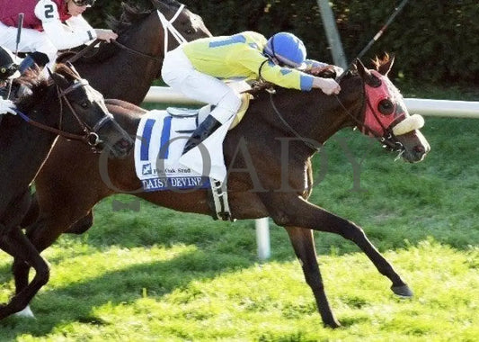 Daisy Devine - Aerial 102111 Race 09 Keeneland