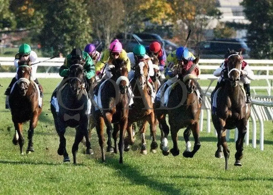 Daisy Devine - Head On 102111 Race 09 Keeneland