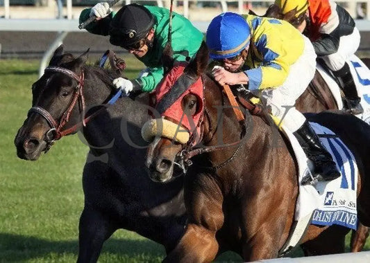 Daisy Devine - Inside Finish 102111 Race 09 Keeneland