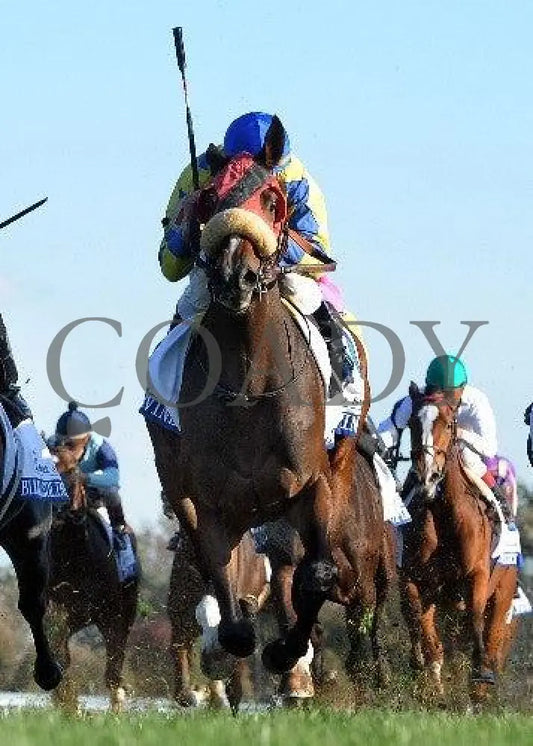 Daisy Devine - Under Rail 102111 Race 09 Keeneland