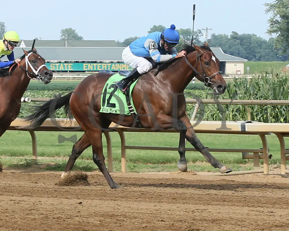 Dak Attack - 082017 Race 08 Elp Finish 2 Ellis Park