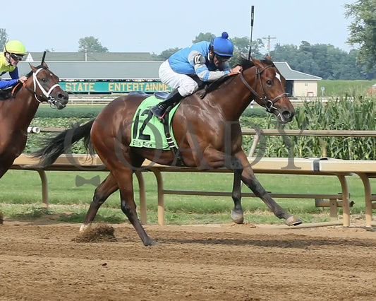 Dak Attack - 082017 Race 08 Elp Finish 2 Ellis Park