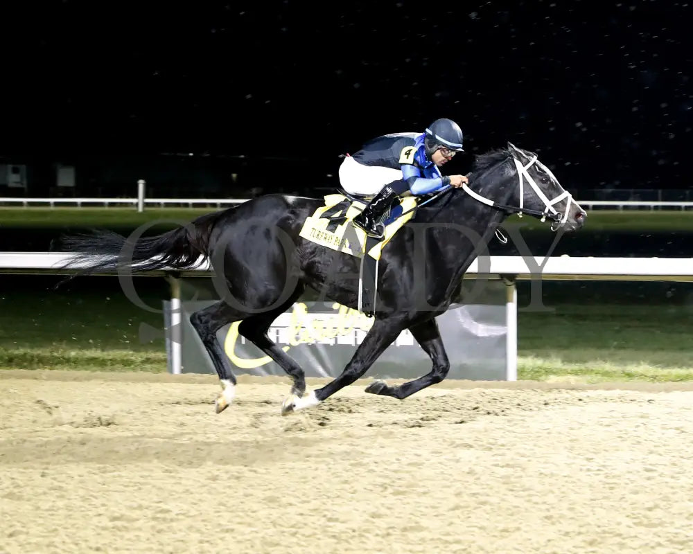 Dana’s Beauty - 121424 Race 04 Tp The My Charmer Finish 01 Turfway Park