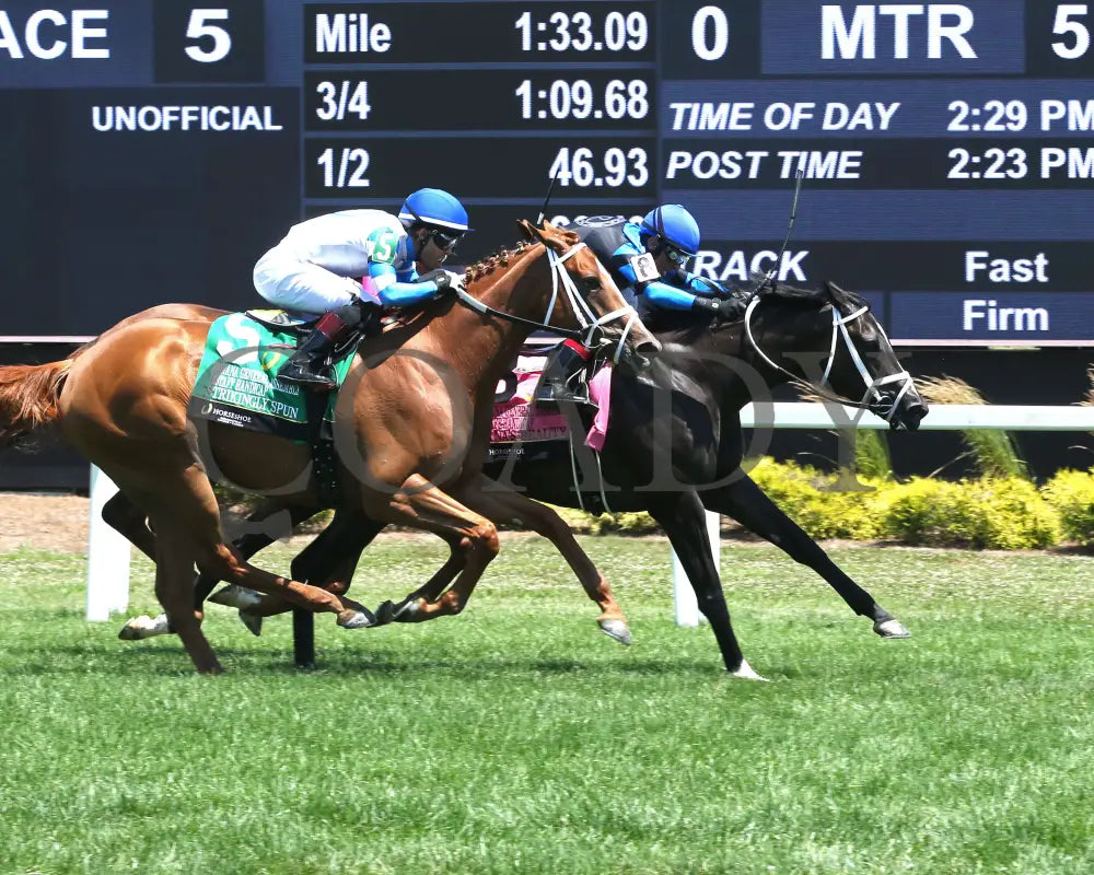 DANA’S BEAUTY - Indiana General Assembly Distaff Handicap - 07-05-25 - R05 - Horseshoe Indiana - Finish 01 - Samantha