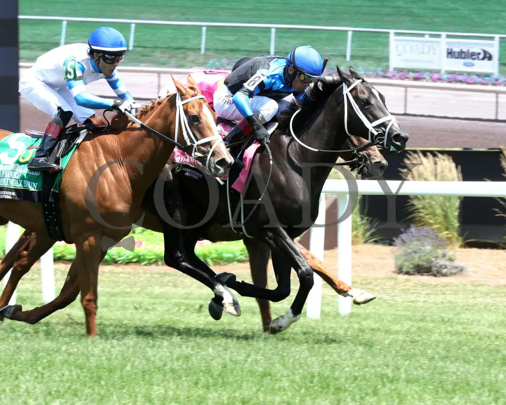 DANA’S BEAUTY - Indiana General Assembly Distaff Handicap - 07-05-25 - R05 - Horseshoe Indiana - Finish 02 - Ashleigh