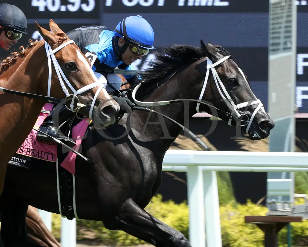 DANA’S BEAUTY - Indiana General Assembly Distaff Handicap - 07-05-25 - R05 - Horseshoe Indiana - Tight Finish 01