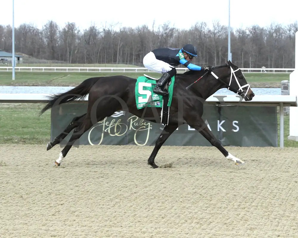DANA’S BEAUTY - LATONIA STAKES - 43rd Running - 03-22-25 - R07 - Turfway Park - Finish 01 Turfway Park