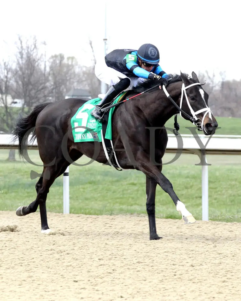 DANA’S BEAUTY - LATONIA STAKES - 43rd Running - 03-22-25 - R07 - Turfway Park - Finish 02 Turfway Park
