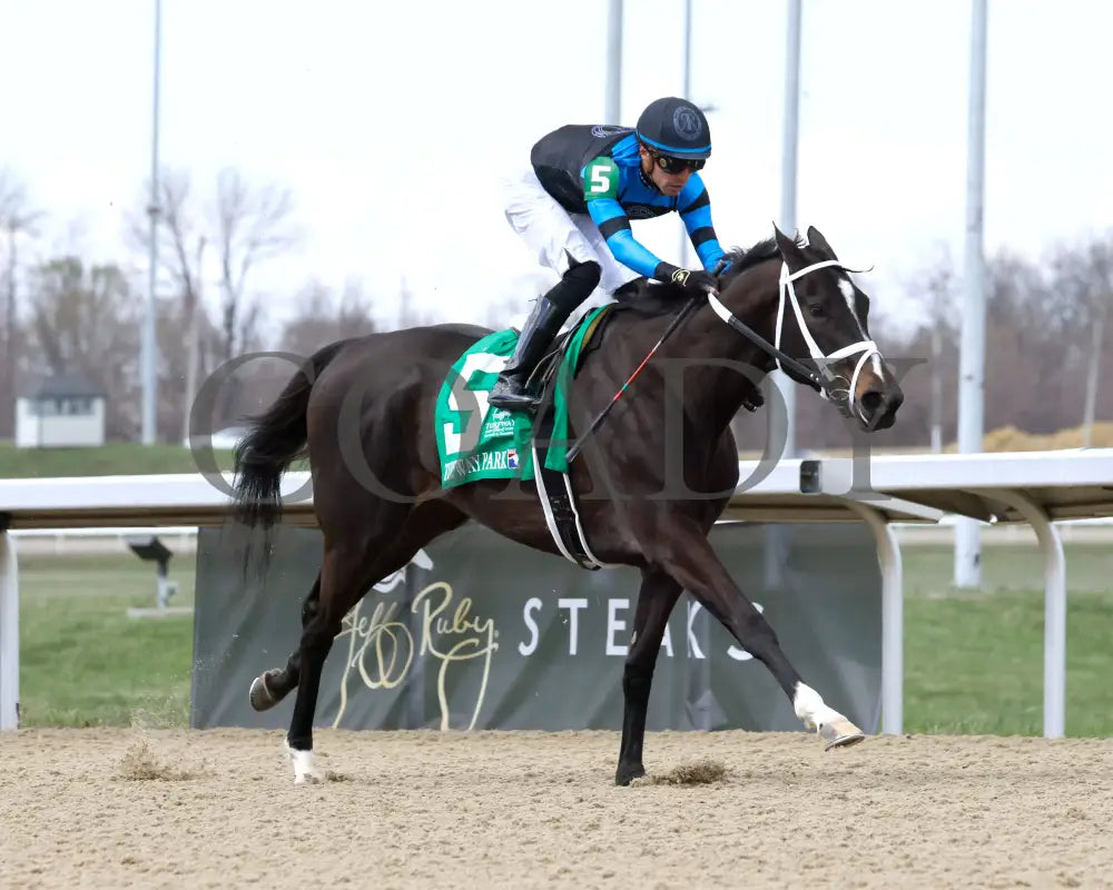 DANA’S BEAUTY - LATONIA STAKES - 43rd Running - 03-22-25 - R07 - Turfway Park - Finish 04 Turfway Park