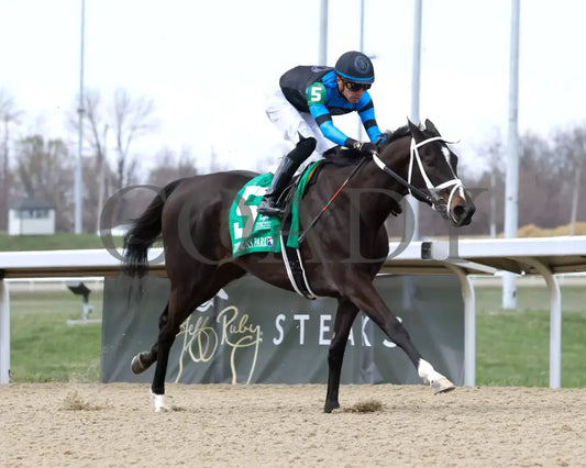 DANA’S BEAUTY - LATONIA STAKES - 43rd Running - 03-22-25 - R07 - Turfway Park - Finish 04 Turfway Park