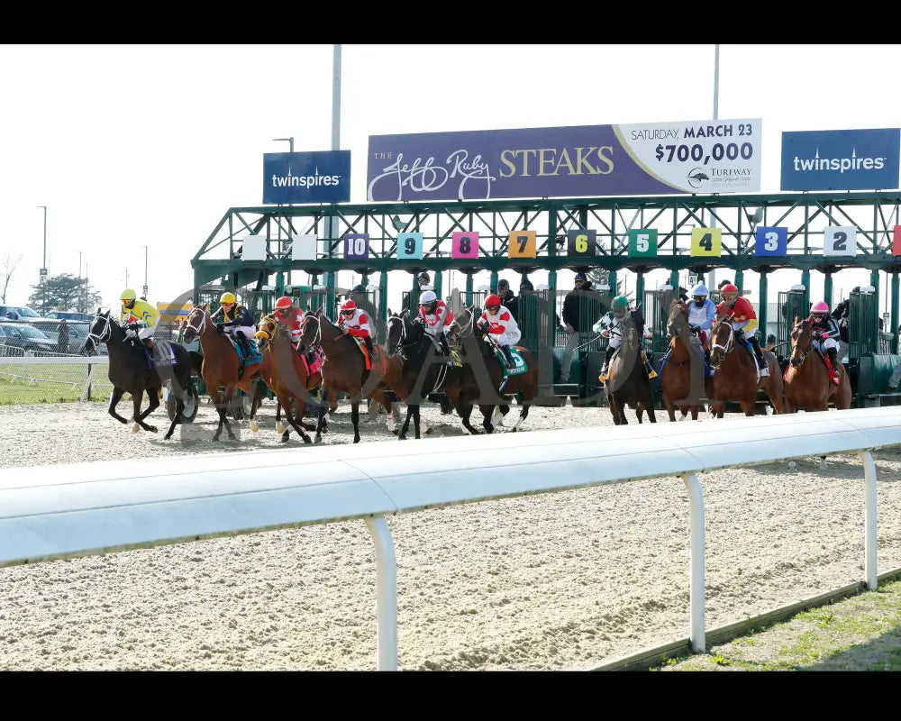 Dana’s Beauty - The Latonia Stakes 42Nd Running 03 - 23 - 24 R09 Turfway Park Start 01 Kurtis Coady