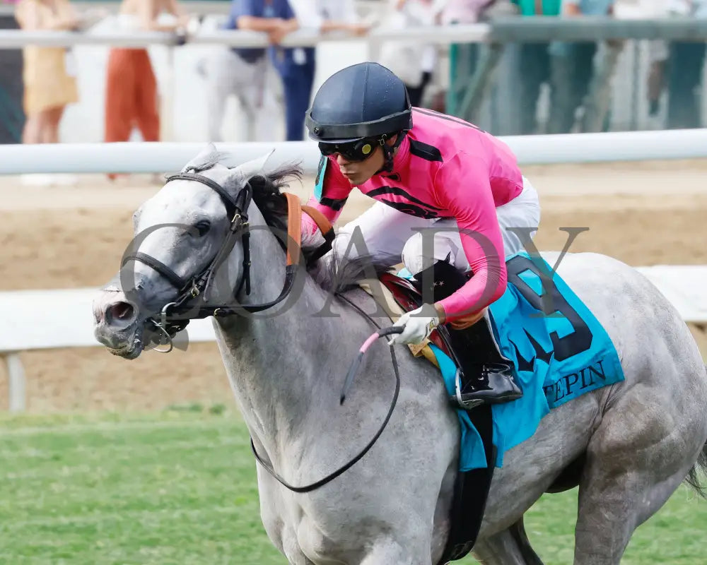 Dancing N Dixie - The Tepin 06-29-24 R12 Cd Inside Finish 01 Churchill Downs