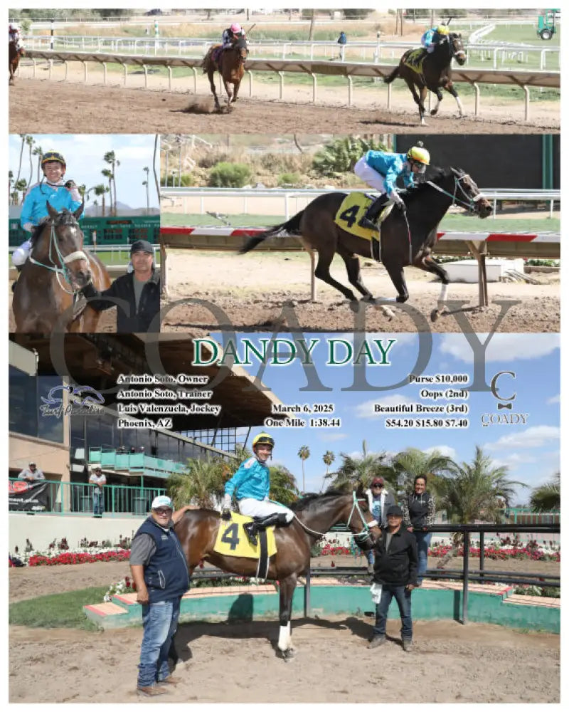 DANDY DAY - 03-06-25 - R03 - TUP Turf Paradise