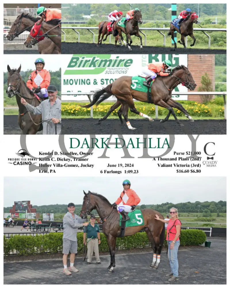 Dark Dahlia - 06-19-24 R03 Pid Presque Isle Downs