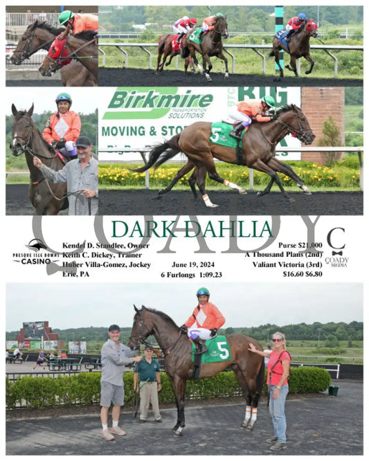 Dark Dahlia - 06-19-24 R03 Pid Presque Isle Downs