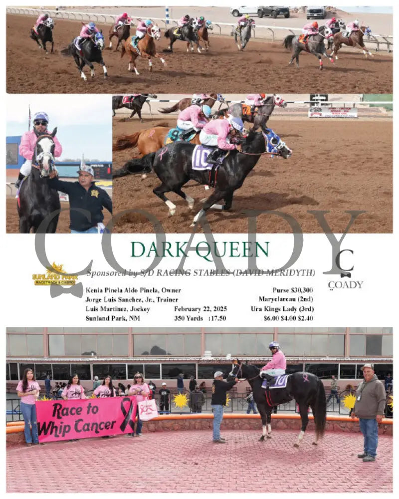 DARK QUEEN - Sponsored by S/D RACING STABLES (DAVID MERIDYTH) - 02-22-25 - R05 - SUN Turfway Park