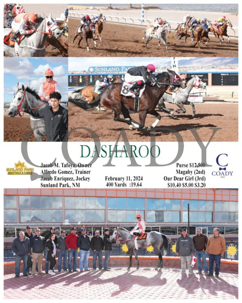 Dasharoo - 02-11-24 R07 Sun Sunland Park