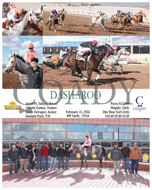 Dasharoo - 02-11-24 R07 Sun Sunland Park