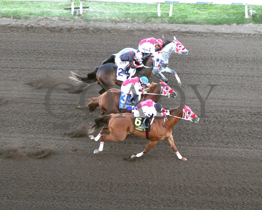 Dashing Tres - All American Quarter Horse Derby 09-02-24 R10 Alb Downs At Albuquerque