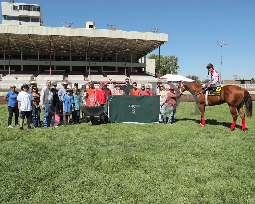 Dashing Tres - All American Quarter Horse Derby 09-02-24 R10 The Downs At Albuquerque 003