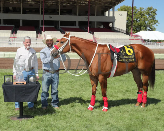 Dashing Tres - All American Quarter Horse Derby 09-02-24 R10 The Downs At Albuquerque 005