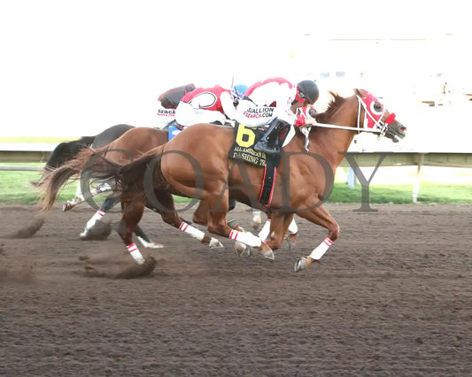 Dashing Tres - All American Quarter Horse Derby 09-02-24 R10 The Downs At Albuquerque Finish 02