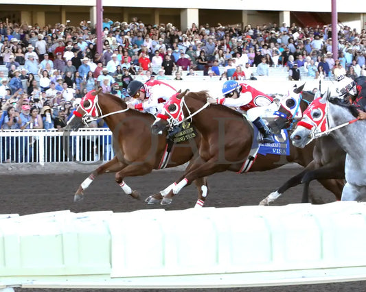 Dashing Tres - All American Quarter Horse Derby 09-02-24 R10 The Downs At Albuquerque Inside Finish