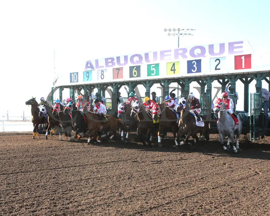 Dashing Tres - All American Quarter Horse Derby 09-02-24 R10 The Downs At Albuquerque Start 01