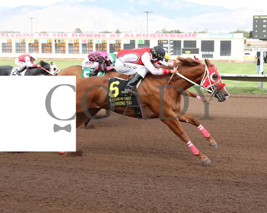 Dashing Tres - Rainbow Quarter Horse Derby G1 07-27-24 R11 The Downs At Albuquerque Finish 2