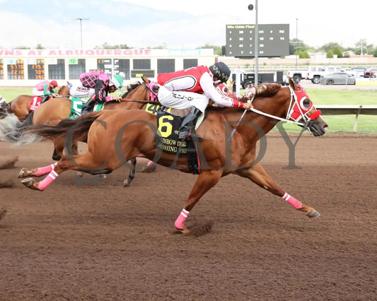 Dashing Tres - Rainbow Quarter Horse Derby G1 07-27-24 R11 The Downs At Albuquerque Finish