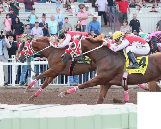 Dashing Tres - Rainbow Quarter Horse Derby G1 07-27-24 R11 The Downs At Albuquerque Inside Finish 2