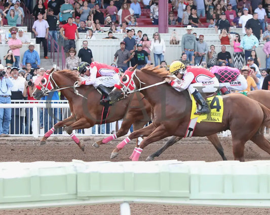 Dashing Tres - Rainbow Quarter Horse Derby G1 07-27-24 R11 The Downs At Albuquerque Inside Finish