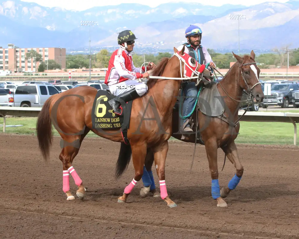 Dashing Tres - Rainbow Quarter Horse Derby G1 07-27-24 R11 The Downs At Albuquerque Post Parade
