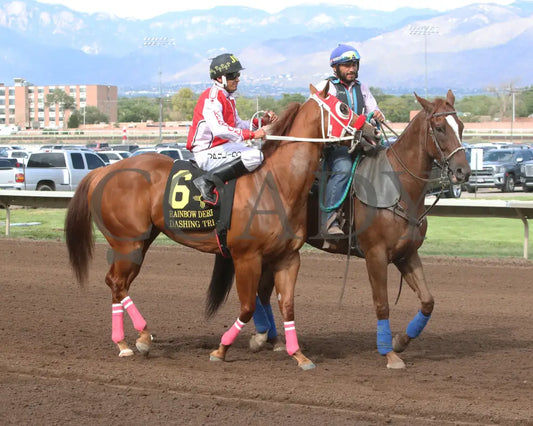 Dashing Tres - Rainbow Quarter Horse Derby G1 07-27-24 R11 The Downs At Albuquerque Post Parade